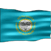 SD flag